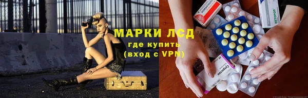 ПСИЛОЦИБИНОВЫЕ ГРИБЫ Абаза