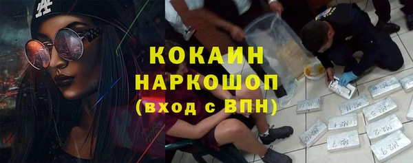стаф Абинск
