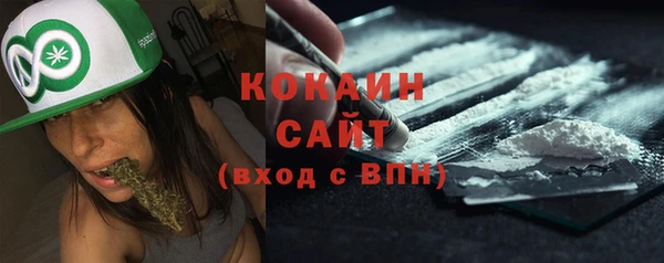 ПСИЛОЦИБИНОВЫЕ ГРИБЫ Абаза