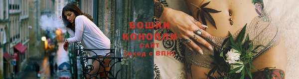 ПСИЛОЦИБИНОВЫЕ ГРИБЫ Абаза