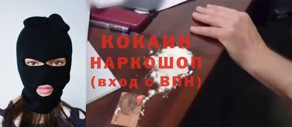 стаф Абинск