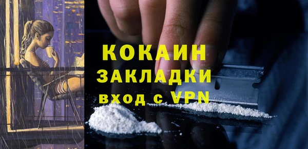 ПСИЛОЦИБИНОВЫЕ ГРИБЫ Абаза